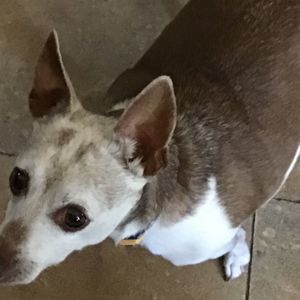 Meet your Posher, Holly